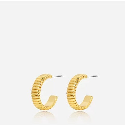 1-Tashya Huggie Earrings
